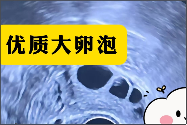 成熟过度的卵子会影响<a href=