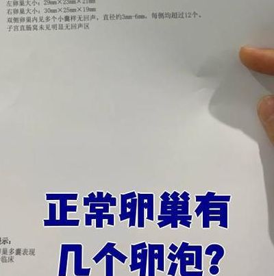 试管卵泡大小正常范围是多少mm？备孕三年我的经验