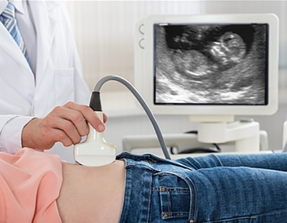 超声波检查能确定胎儿性别