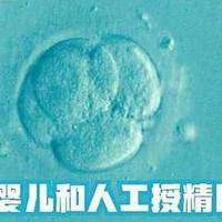 不孕不育症PK：人工授精是_轻量助攻_，试管婴儿是_终极方案_