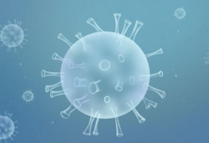 新冠病毒会影响卵子质量吗.png