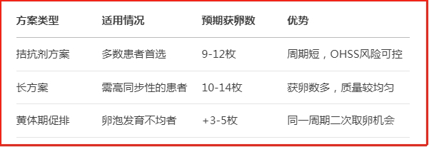 14个窦卵泡试管取卵几个，揭秘获卵数量的关键因素