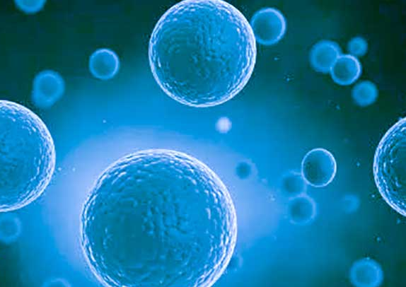 达必佳会导致黄体生成素升高