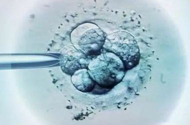 试管婴儿黄体期取卵只能移植冻胚?