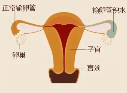 话题图标