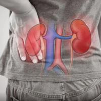 肾功能不好的表现病因是什么   肾虚能不能成功医治