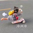 SYC头像