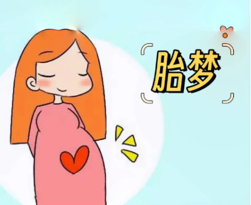 胎梦是一种民间说法