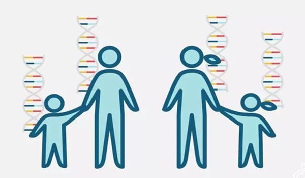 三代试管用什么方法避免遗传风险?