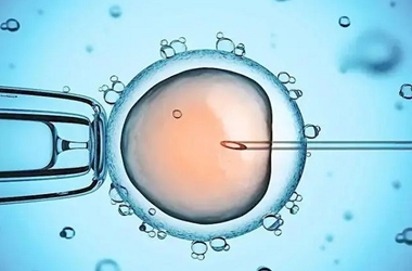 试管胚胎移植的时期怎么确定?