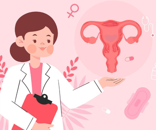 白藜芦醇能保护子宫内膜