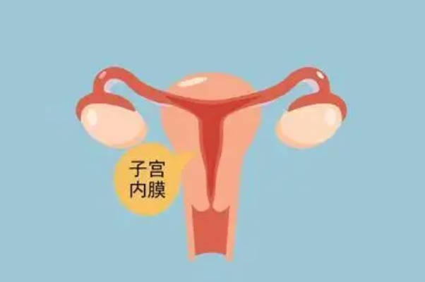 排卵期子宫内膜的厚度为9mm