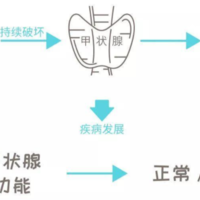 桥本甲状腺炎可以做试管婴儿吗？