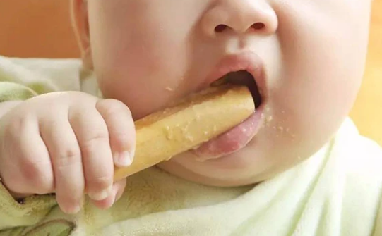 磨牙棒属于婴幼儿饼干的一种