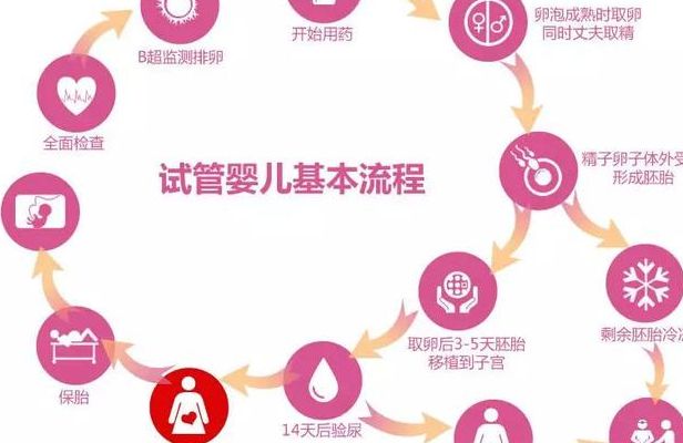 试管婴儿要去医院多少次？频率怎样？分阶段算给你看