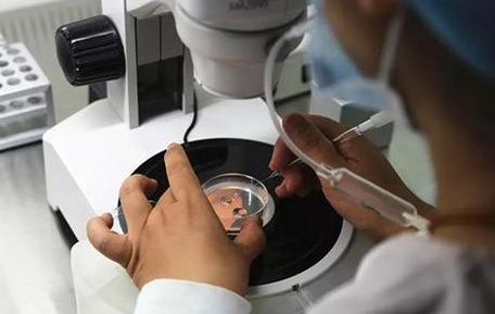 私人医院做试管婴儿多少钱？过来人逐笔拆解费用明细