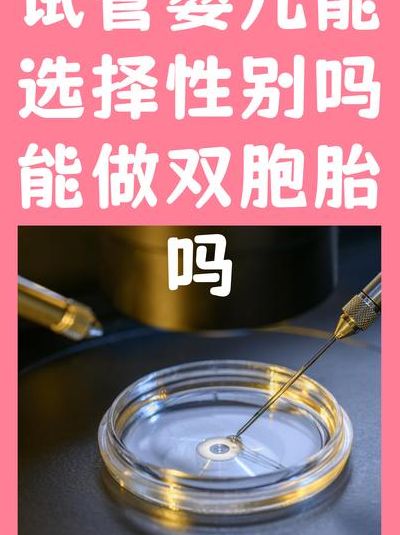 试管婴儿可以直接要孩子吗？先看法律和医学指征再决定