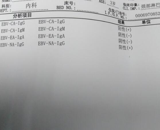 EB病毒转阴能做试管