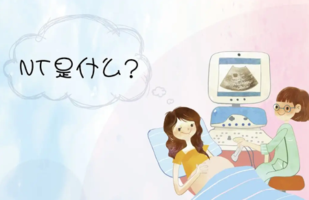 nt三个亮点是男孩女孩