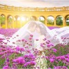 玲夏永爱头像