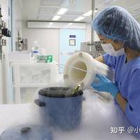 广东做三代试管要花多少钱？选公立还是私立？一篇讲透