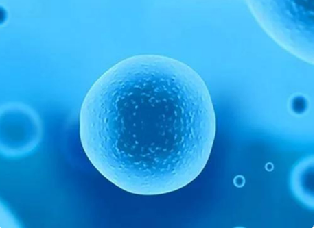 实验室条件会影响囊胚筛查时间