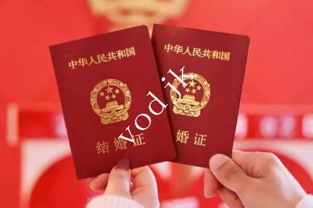 两个女性试管婴儿2026年现状解析：技术早可行，卡在哪一步