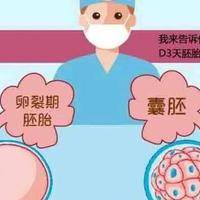 试管移植后可以侧躺着睡吗？刚移植完的女性半夜问，连翻身都犹豫