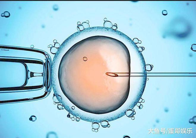 泰国试管的花费到底要多少钱?过来人帮你梳理5笔开销明细
