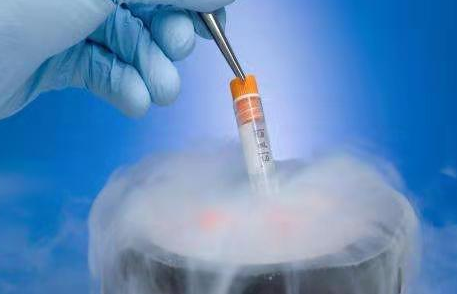 试管移植冻胚为什么还需要进周