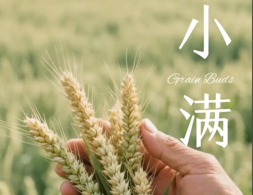 备孕要科学