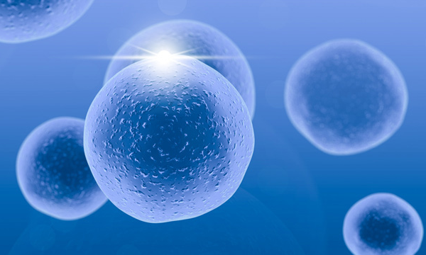 试管胚胎无碎片是一级胚胎吗?