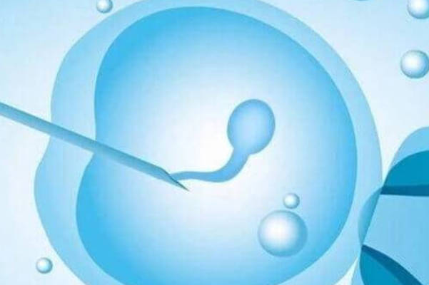 女性和女性之间的生育是真的已经实现了吗？