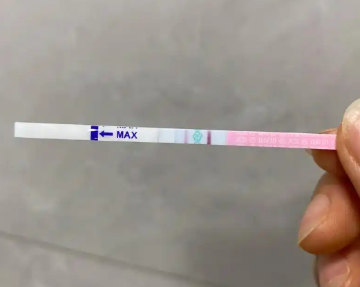 排卵期同房怀孕几率较高