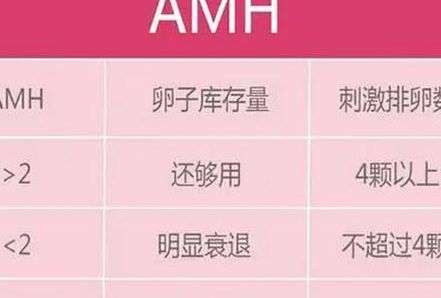 amh值偏高说明什么？4个判断维度帮你理清接下来的试管方向