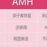 amh值偏高说明什么？4个判断维度帮你理清接下来的试管方向