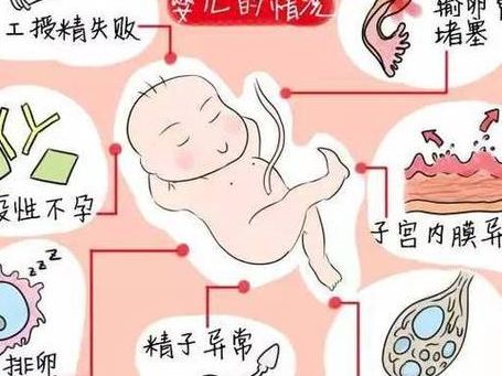 不孕去什么医院?小周跑了两家才明白差别在哪