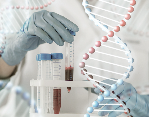 血液DNA检测能确定性别