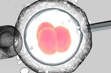 卵巢早衰做      试管的成功率是多少?
