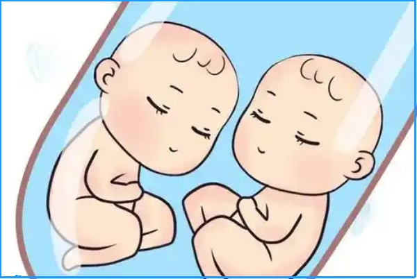 高龄试管可能会怀龙凤胎