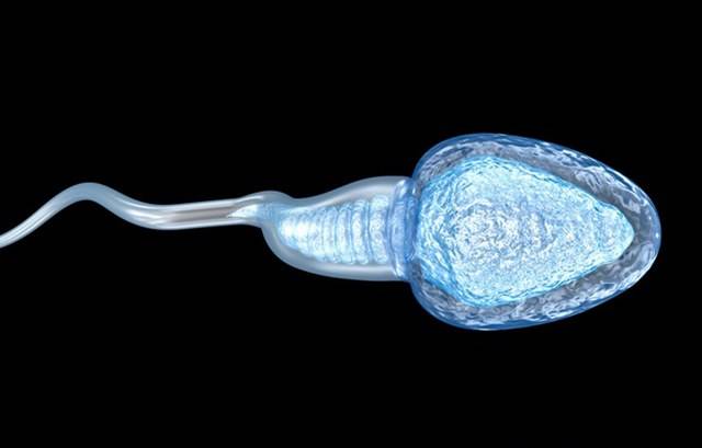 做试管婴儿的前期检查怎样观察精液是否正常？