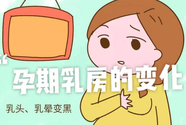 怀孕后乳房会慢慢变大