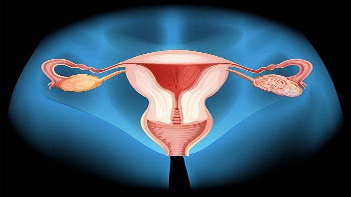 做试管婴儿之前不及时处理输卵管积水会有什么危害？