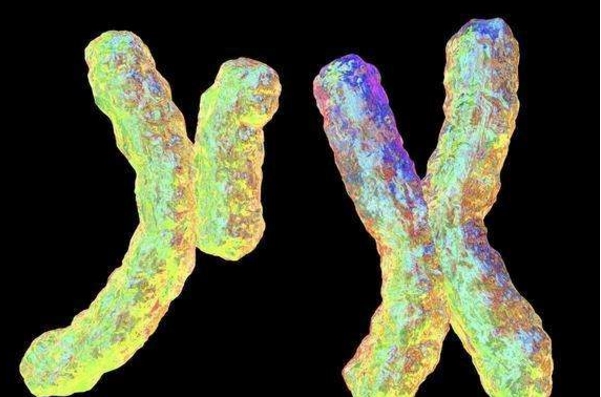 染色体缺失可以做三代试管