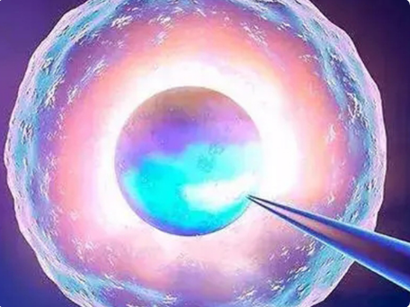 4bb囊胚是优质胚胎