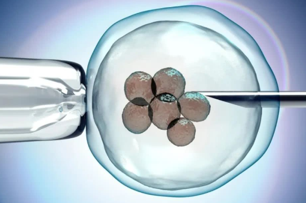 男女比例各占一半