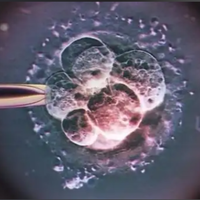 为什么有人说供卵生下孩子后悔了?