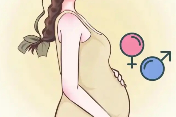 七七四十九算男女公式准确率不是百分百
