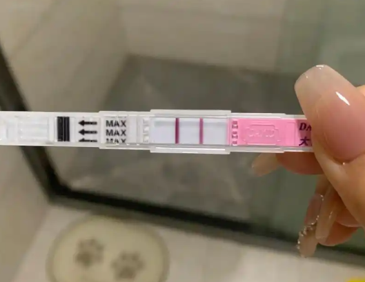着床以后排卵试纸不会秒红