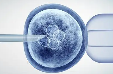 鲜胚的成功率?移植鲜胚质量一般可以成功吗?